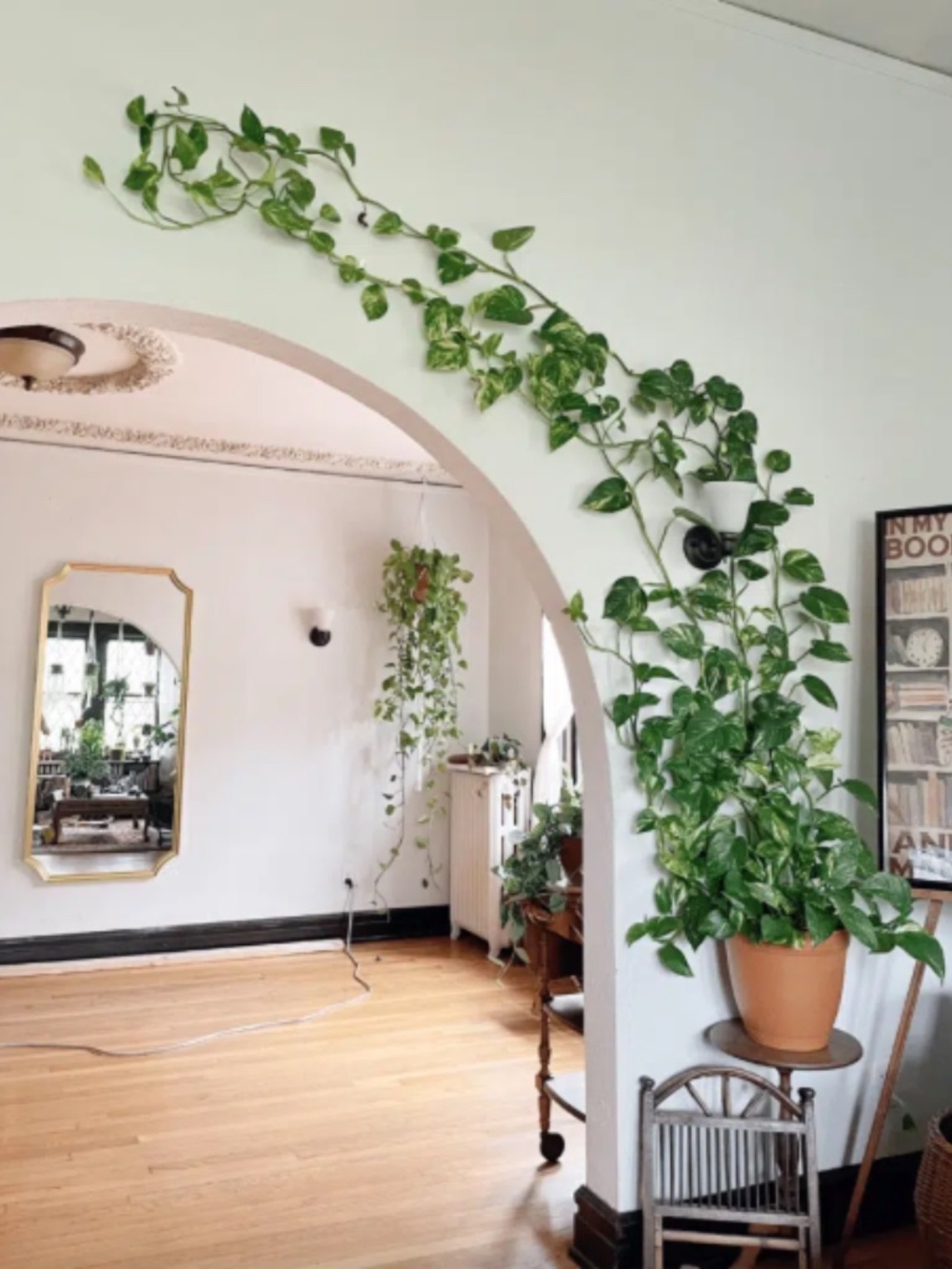 Green Leaf clip on Climbing Plant Organizers Artificial Flower Home Decor